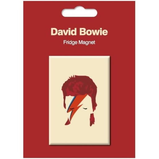David Bowie Fridge Magnet Aladdin Sane