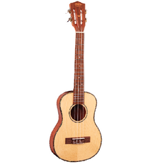 1880 200 Series Traveller Tenor Ukulele