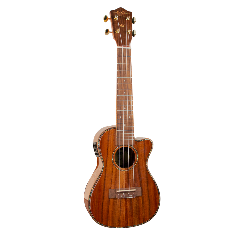 1880 300 Series Concert Electric/Acoustic Ukulele