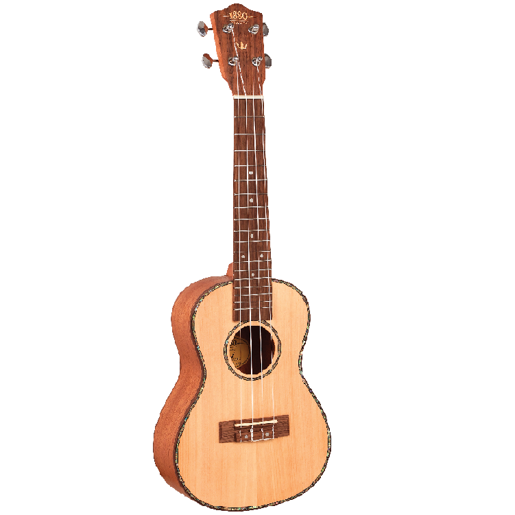 1880 Ukulele Co 200 Series Ukulele
