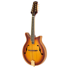 Bryden Arch Top Mandolin Contemporary Style