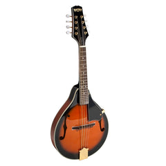 Bryden Arch Top Mandolin Gold Hardware