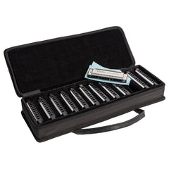 Bryden Diatonic Blues Harmonica