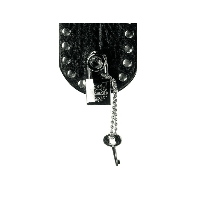 DiMarzio Guitarlock Strap Security System