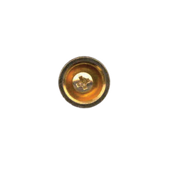 Eagle Metal Guitar End Pin & Screw - Various