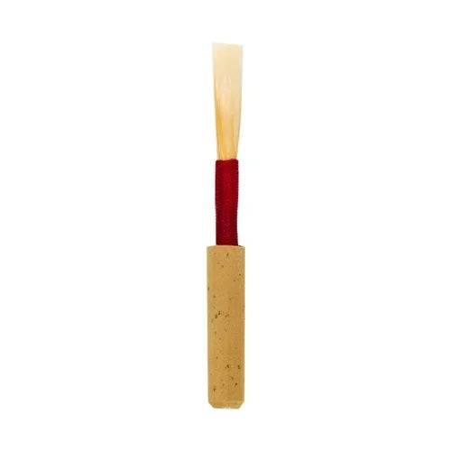 Faxx Oboe Reed - Cane