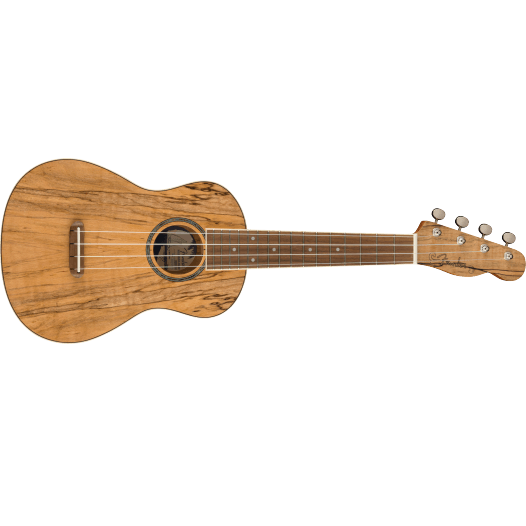 Fender Zuma Exotic Concert Ukulele