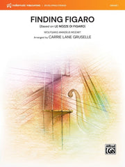 Finding Figaro - SO Grade 1