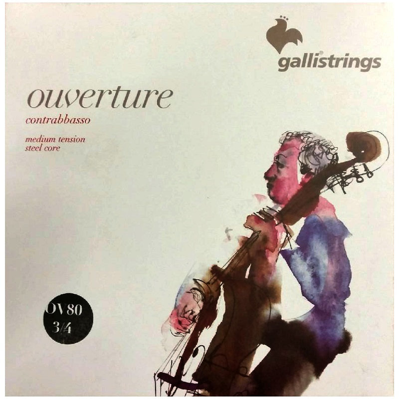 Galli Ouverture 3/4 Double Bass String Set