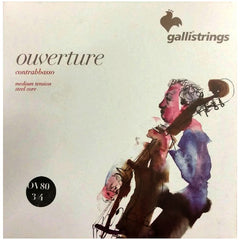 Galli Ouverture 3/4 Double Bass String Set