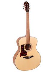 Gilman GA10 Acoustic Guitar - Various