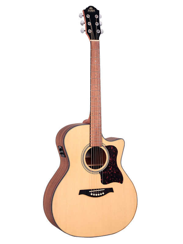 Gilman GA10 Acoustic Guitar - Various
