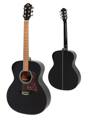 Gilman GA12 Acoustic Guitar - Various