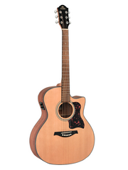 Gilman GA12 Acoustic Guitar - Various