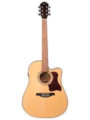 Gilman GD10 Acoustic Guitar - Various