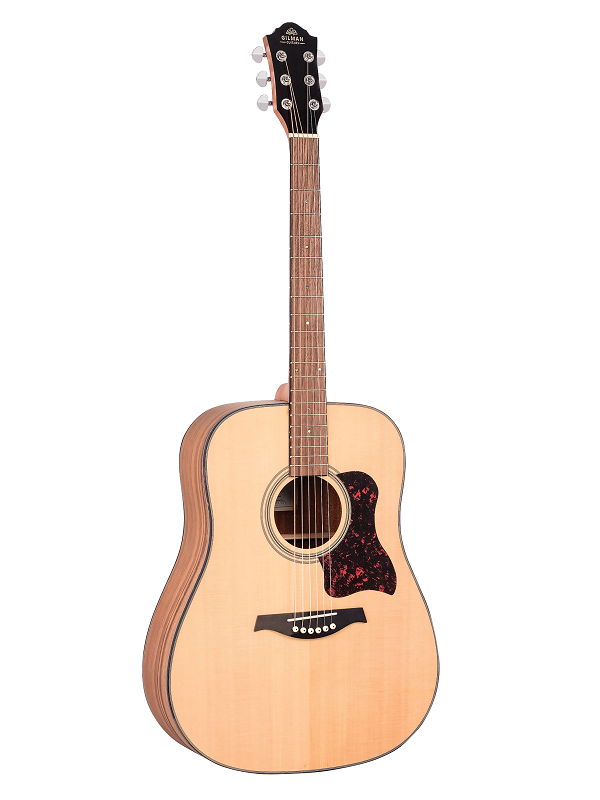 Gilman GD10 Acoustic Guitar - Various