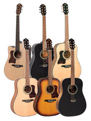 Gilman GD10 Acoustic Guitar - Various