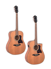 Gilman GD12 Acoustic Guitar - Various