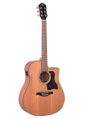 Gilman GD12 Acoustic Guitar - Various