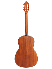 Gilman GPA10 Parlour Acoustic Guitar - Various