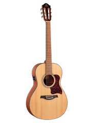 Gilman GPA10 Parlour Acoustic Guitar - Various