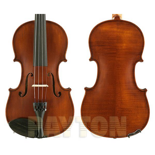 Gliga III Violin Outfit Various Sizes - Engadine Music Store
