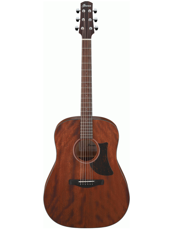 Ibanez AAD140 OPN - Acoustic Guitar