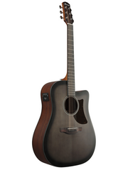 Ibanez AAD50CE Acoustic Electric Guitar