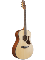 Ibanez AAM50 OPN Acoustic Guitar