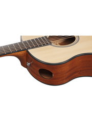 Ibanez AAM50 OPN Acoustic Guitar