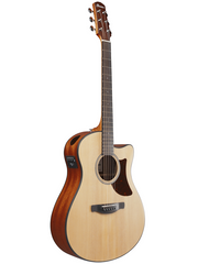 Ibanez AAM50CE OPN Acoustic Guitar