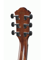 Ibanez AEG220 -  Acoustic Electric Guitar