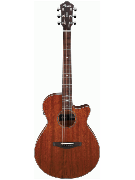 Ibanez AEG220 -  Acoustic Electric Guitar