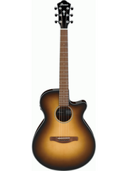 Ibanez AEG50 - Acoustic Electric Guitar