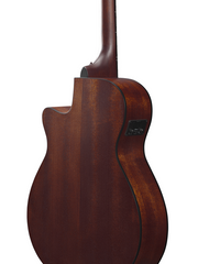 Ibanez AEG50 BAM - Acoustic Electric Guitar