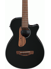 Ibanez AEGB24E Acoustic Electric Bass
