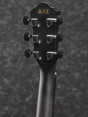 Ibanez AEWC400 Acoustic Electric Guitar