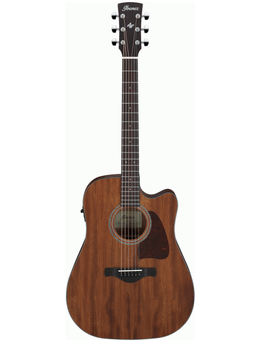 Ibanez Artwood AW247CE - Acoustic Electric Guitar