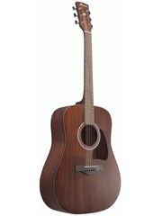 Ibanez Artwood AW54 Acoustic Guitar