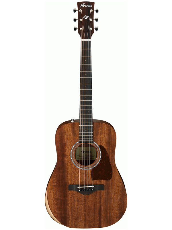 Ibanez Artwood AW54JR OPN - Acoustic Guitar