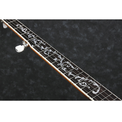 Ibanez B200 Banjo