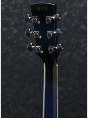 Ibanez PF15ECE Acoustic Electric Guitar