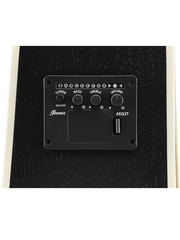 Ibanez PF16MWCE WK Acoustic Guitar