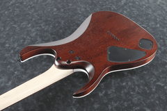 Ibanez RGA42FM Archtop Electric Guitar