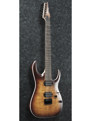 Ibanez RGA42FM Archtop Electric Guitar