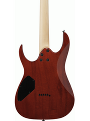 Ibanez RGR221PA AQB - Electric Guitar