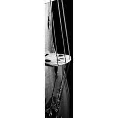 Laminated Book Mark - Various Designs