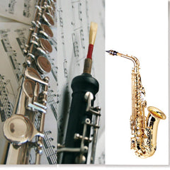 Magnetic Book Mark Woodwind - Various
