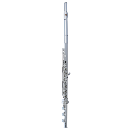 Pearl Professional Flute P695BREZZA