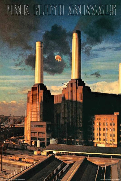 Pink Floyd - Animals - Wall Poster-Music Poster-Aquarius-Engadine Music